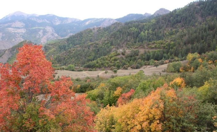 Erzurum’un köyleri sonbaharda görenleri hayran bırakıyor