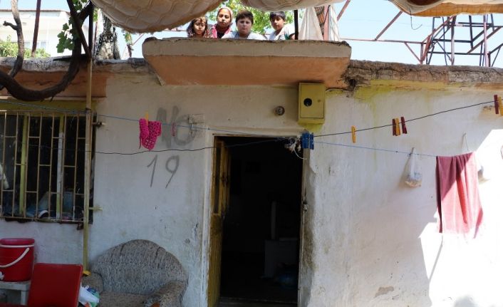 ’Evde yılan var’ korkusuyla 45 gündür damda uyuyorlar