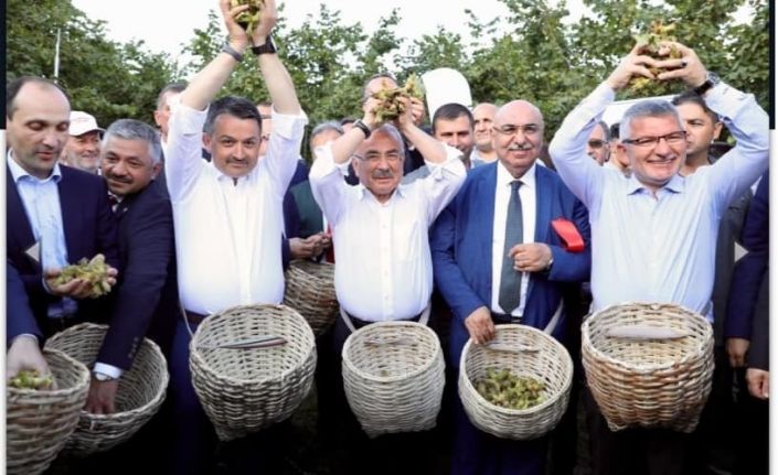 ‘Fındığın Başkenti’ sloganı tartışmaya yol açtı