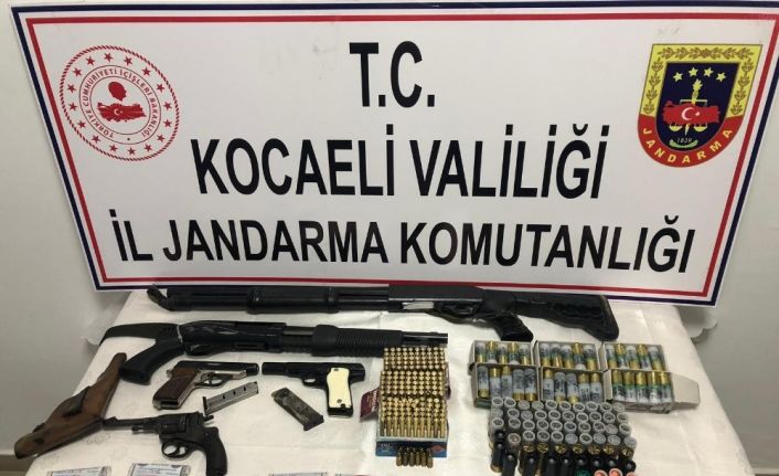 Gebze’de ormanlık alanda 474 kök kenevir ele geçirildi