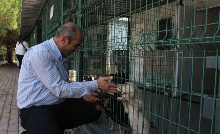 Hastaların artıkları can dostlarını hayata bağlıyor