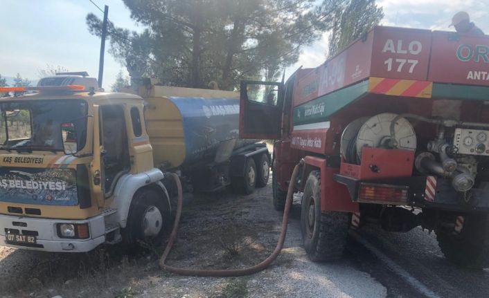 Kaş’ta arazi yangını, çam ağaçları yandı