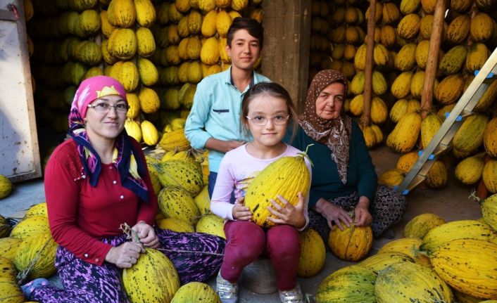 Kırkağaç’ta 30 bin ton kavun askıda