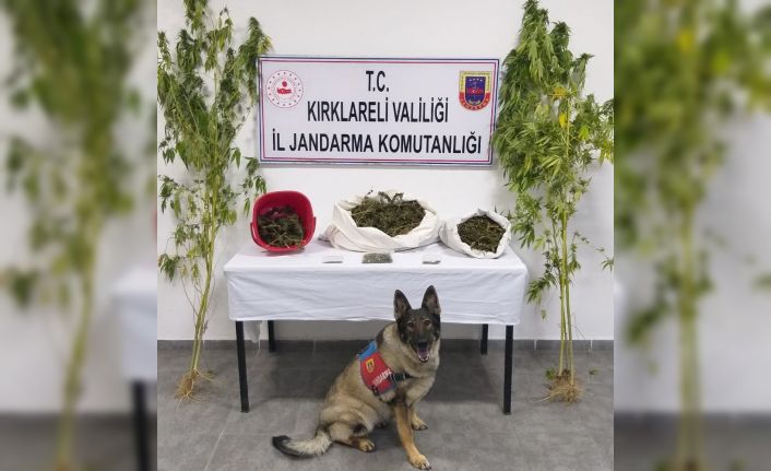 Kırklareli’de 3 kilo 965 gram kubar esrar ele geçirildi