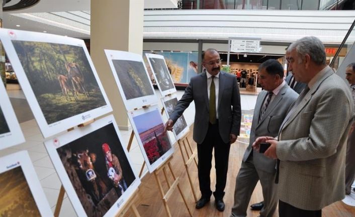 Kütahya’da ‘Tarım ve İnsan’ konulu fotoğraf sergisi açıldı