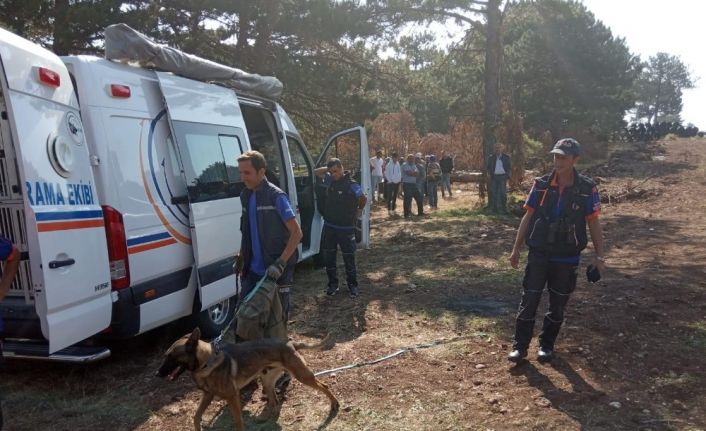 Kütahya’da yaşlı kadın ormanda kayboldu