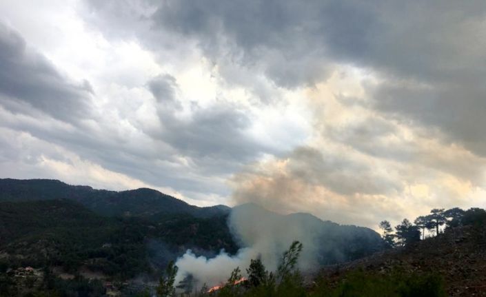 Muğla’da yıldırım yangınları