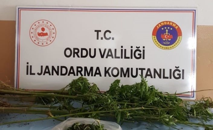 Ordu’da uyuşturucuya geçit yok