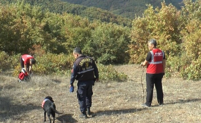 Ormana çıra toplamaya çıktı kendisinden bir daha haber alınamadı