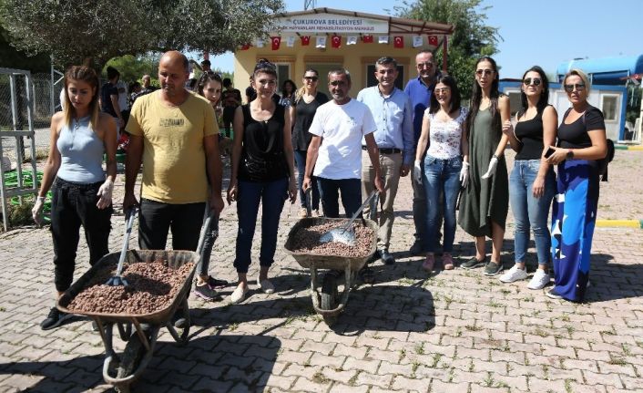 Sokak hayvanları için seferberlik