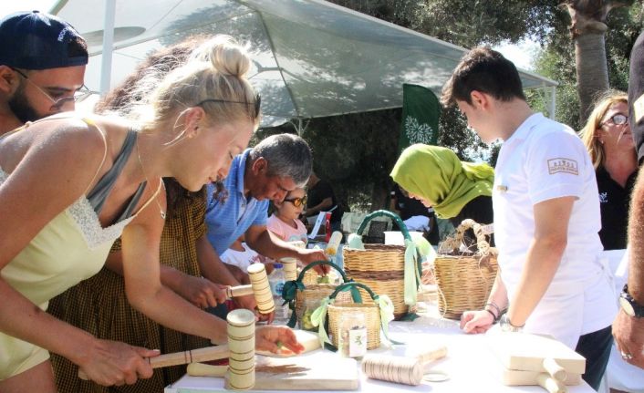 Tatile gelen turistler denizden çıkıp 500 yıllık ağaçlardan zeytin topladı