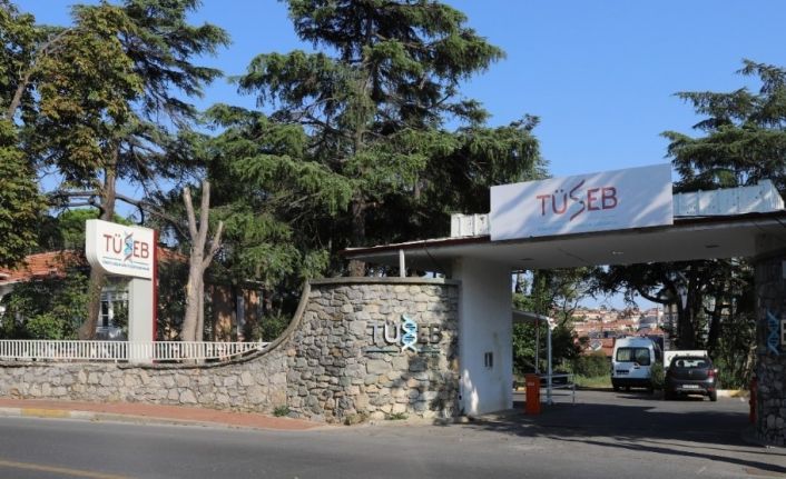 TÜSEB’den Sistem Biyolojisi ve Biyoinformatik AR-GE Proje çağrısı