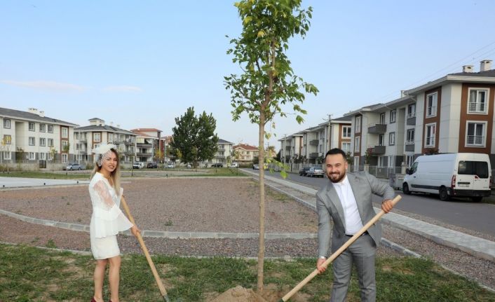 Adapazarı Belediyesinden ‘Her İnsan Bir Fidan’ devam ediyor