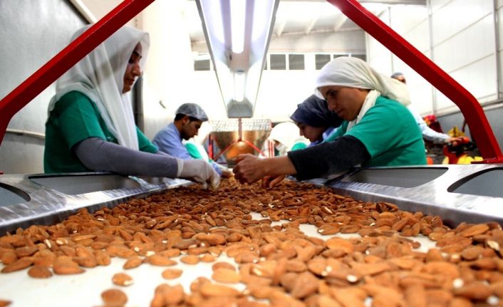 Adıyaman bademi zincir marketlerin raflarında