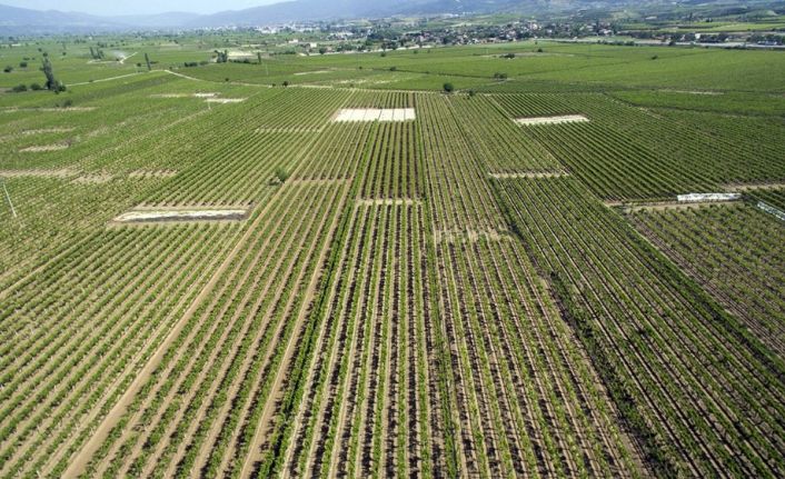 Alaşehir Ovası’nı coşturacak proje