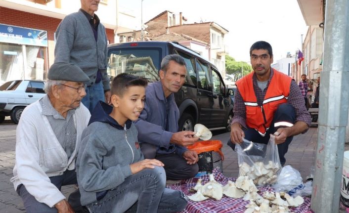 Aydın’da doğal mantar tezgahtaki yerini aldı