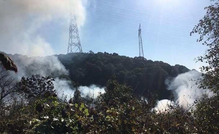 Beykoz Anadolu Kavağı’nda ormanlık alanda yangın