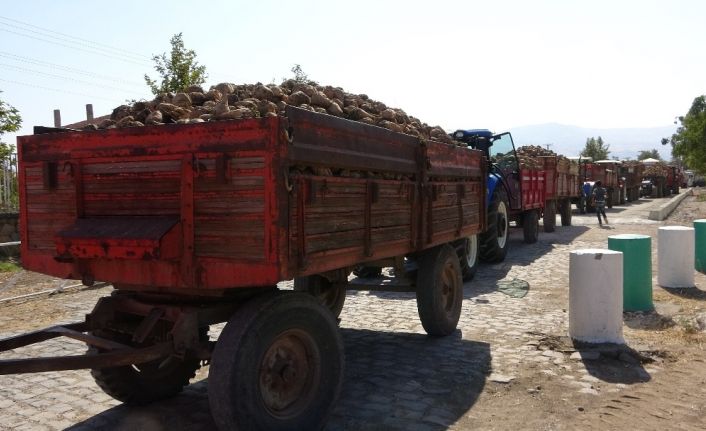 Elazığ’da 165 bin ton üretimi beklenen pancarın alım kampanyası başladı