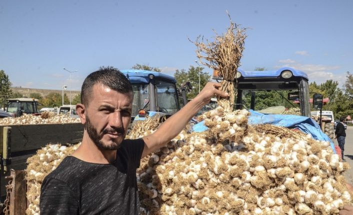 Erzincan, Erzurum ve Bayburt’ta sarımsak zam şampiyonu