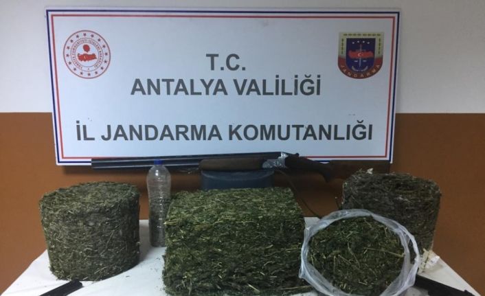 Jandarma aradığı uyuşturucuyu arı kovanının içinde buldu