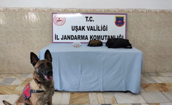 Jandarma otobüste uyuşturucu ele geçirdi