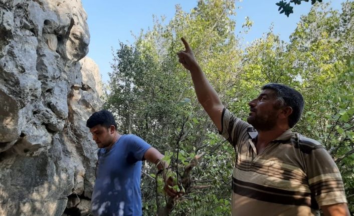 Kayalıkta mahsur kalan keçi 3 gündür kurtarılmayı bekliyor