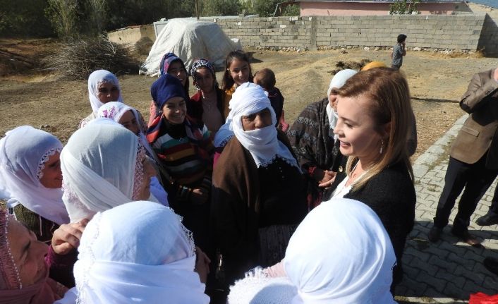 Kaymakam Meral Uçar Arpa’dan Dilimli Mahallesi’ne ziyaret