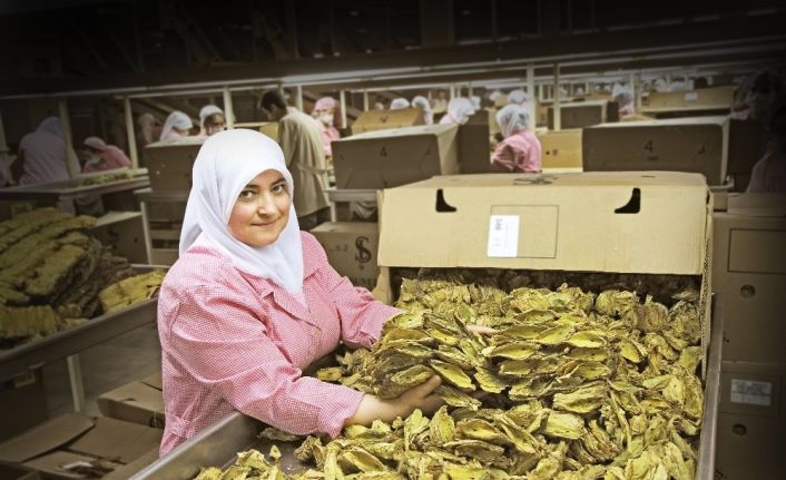 İhracatı üç haneli rakamlara ulaştı