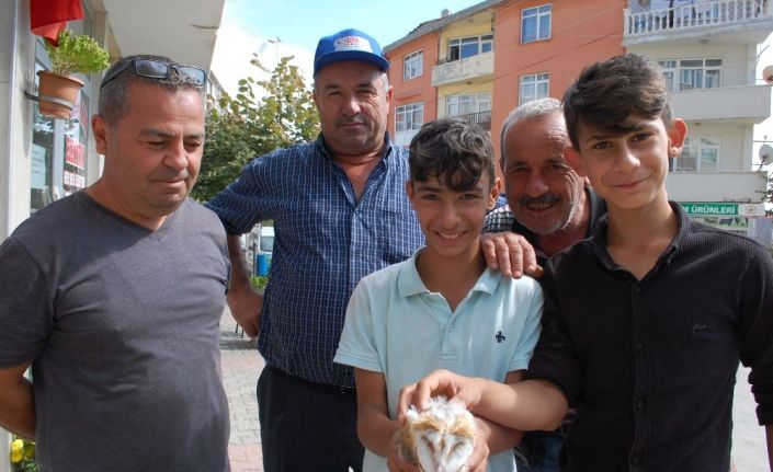 Malkaralı vatandaşlar yavru kuşu hayretle izledi