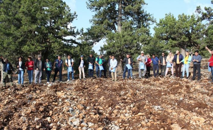 Mersin’de 11 ülkeden 23 uzmana çölleşmeyle mücadele eğitim