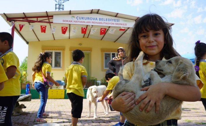 Öğrencilerle patilerin buluşması