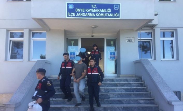 Ordu’da uyuşturucu ile mücadele sürüyor