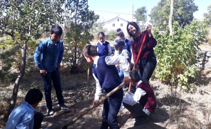 Özalplı öğrenciler ektikleri ürünlerin hasadına başladı