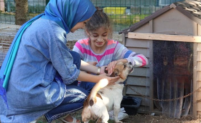 (Özel) Küçük yaşta eğitim, hayvan sevgisini gelecek nesillere aşılıyor