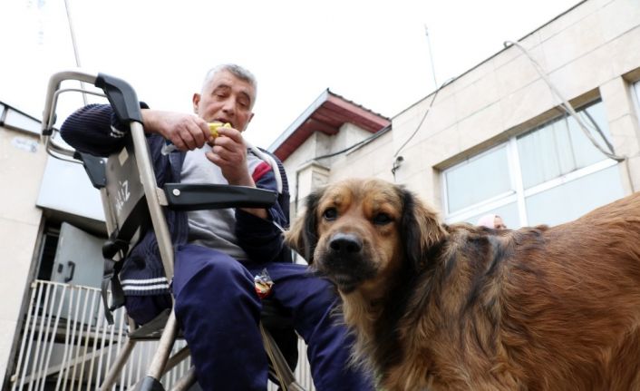 (Özel) O ikiliden geriye sadece fotoğraflar kaldı