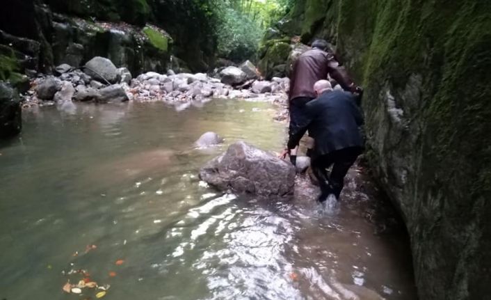 Şelalede ayağı kayan il genel meclisi üyesini muhtar kurtardı