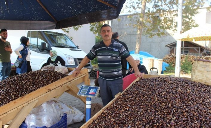 Sinop’ta kestane pazara indi