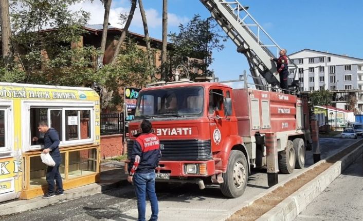 Tatvan’da karga kurtarma operasyonu