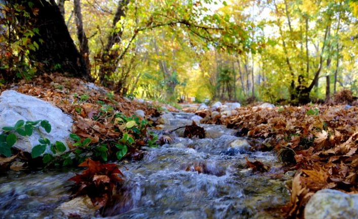 Antalya’da renklerin sonbahar dansı