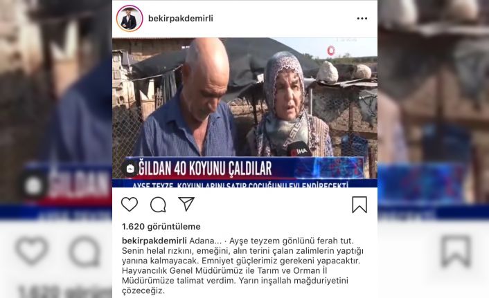 Bakan Pakdemirli’den koyunları çalınan Ayşe teyzeye destek