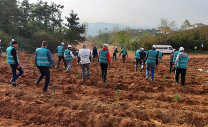 Başsavcı Dursun, hükümlülerle birlikte fidan dikti