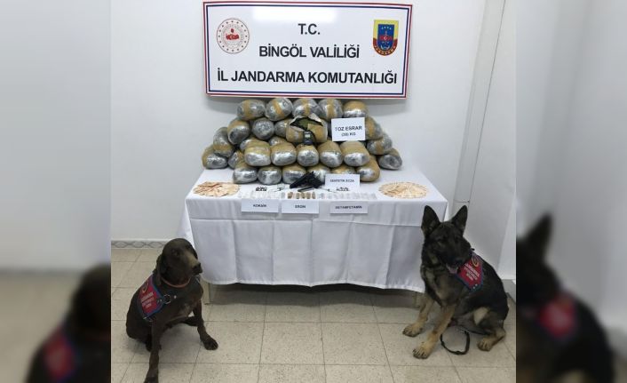 Bingöl’de 38 kilo toz esrar ele geçirildi