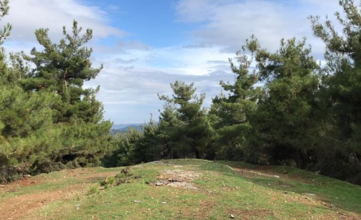 Cinayete kurban giden kayıp şahsın cesedi bulundu