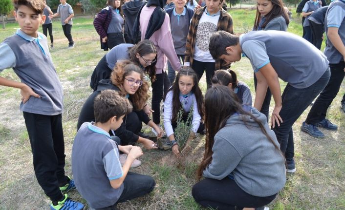 Didim’de liseli öğrenciler okullarına zeytin fidanı dikti