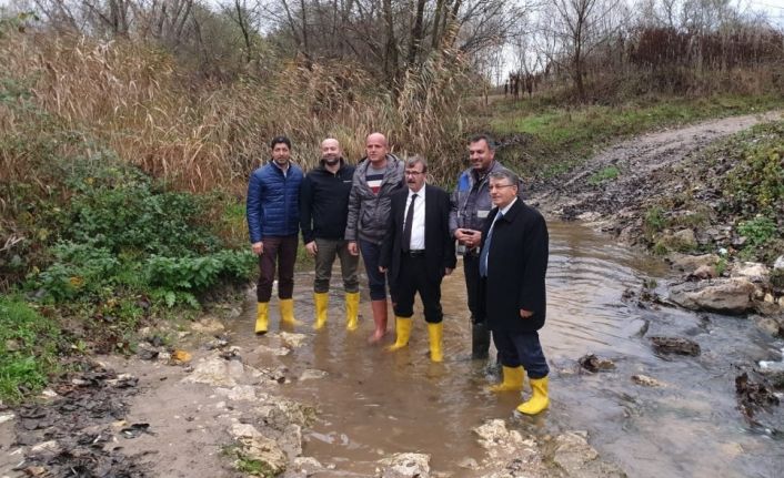 Kahverengi akan derede inceleme başlatıldı