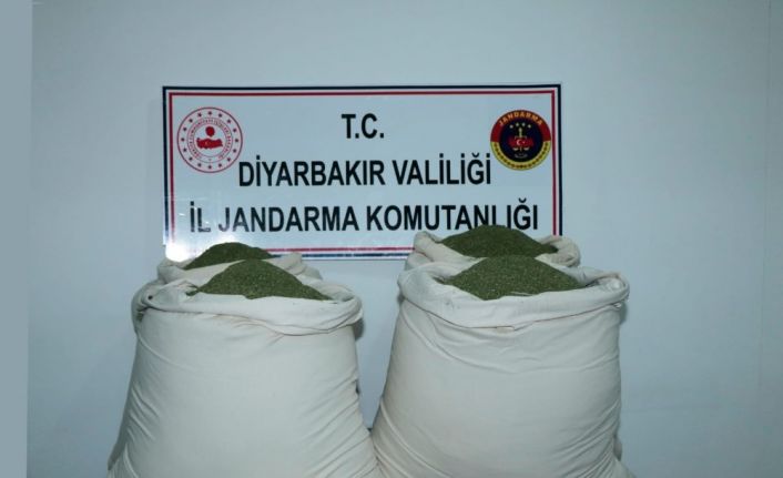 Öğrenci servisinde 176 kilogram esrar ele geçirildi