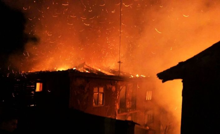 Sakarya’da çıkan yangında iki ev kullanılamaz hale geldi