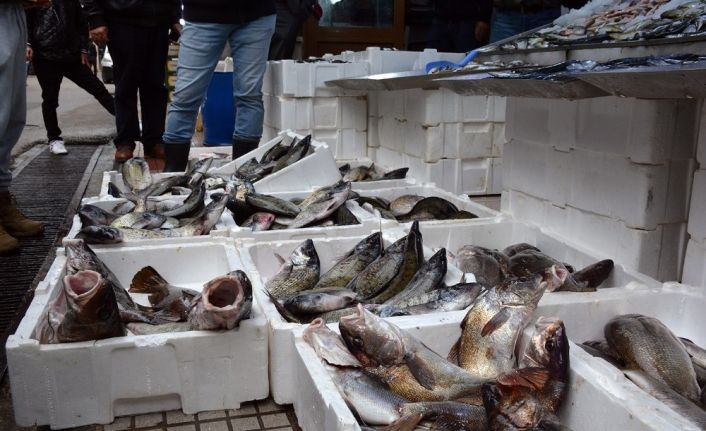 Sinop’ta balık tezgahları şenlendi