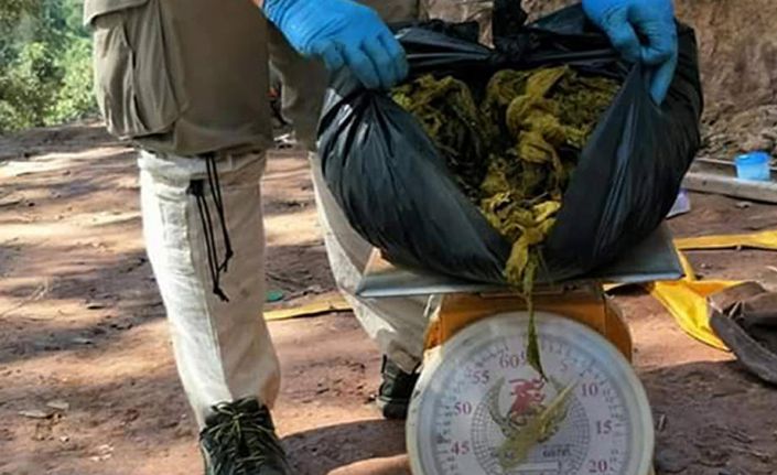 Tayland’ta geyiğin midesinden 7 kilogram çöp çıktı