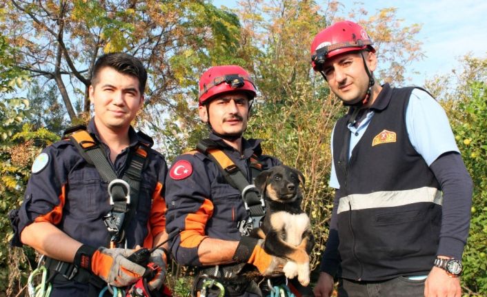 30 metrelik kuyuya düşen yavru köpek operasyonla kurtarıldı